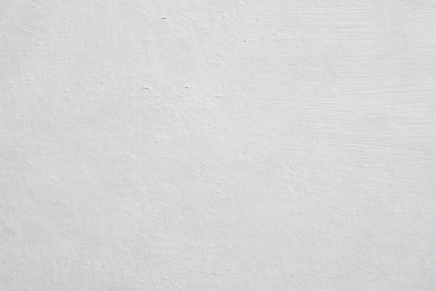 Mold Documentation for Insurance Claims in Bangor, ME